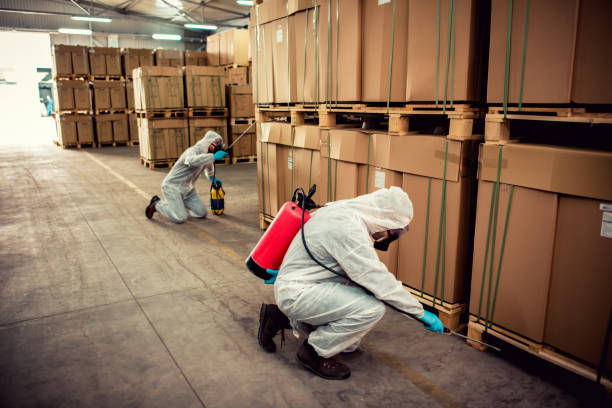 Best Affordable Pest Control Services  in San Joaquin, CA