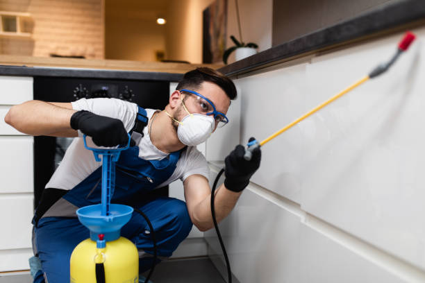 Best Ant Control Services  in San Joaquin, CA