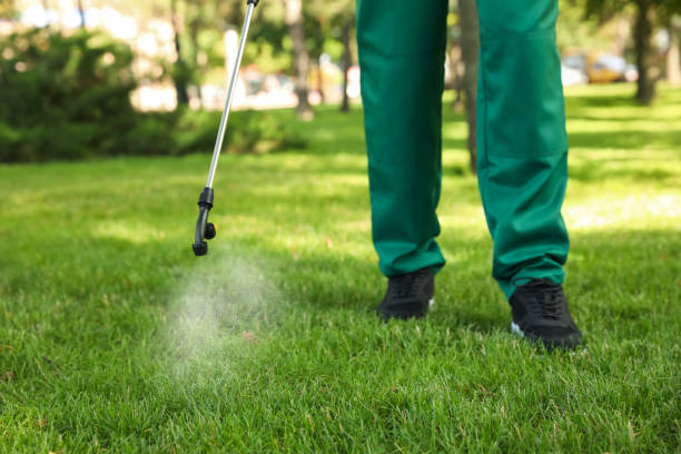 Best Cockroach Control Services  in San Joaquin, CA