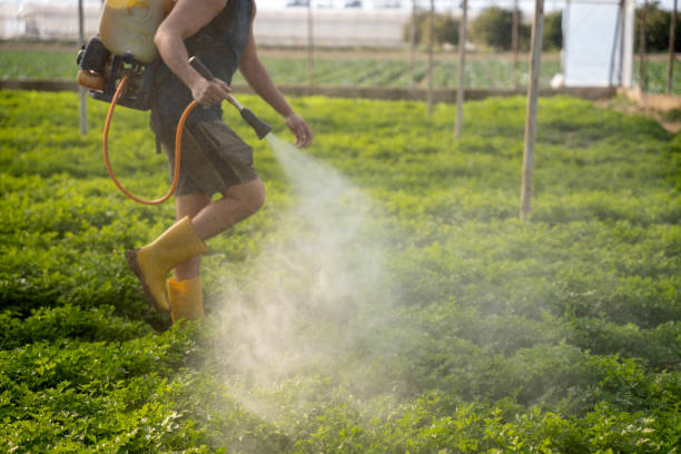 Best Pest Control Cost  in San Joaquin, CA