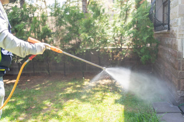 Best Best Pest Control Near Me  in San Joaquin, CA
