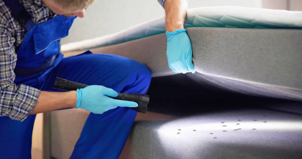 Reliable San Joaquin, CA Pest Control Solutions