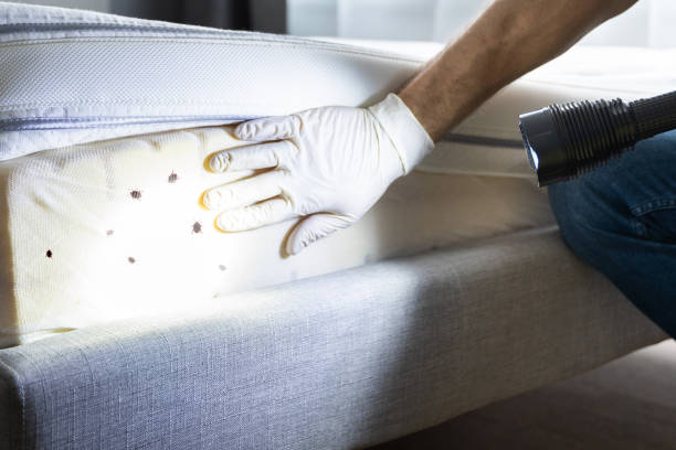 Best Commercial Pest Control Services  in San Joaquin, CA