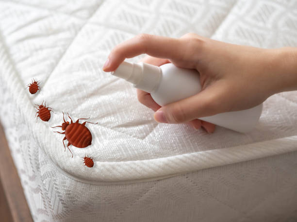 Best Mosquito Control Services  in San Joaquin, CA