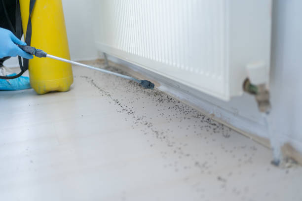 Best Pest Removal Services  in San Joaquin, CA