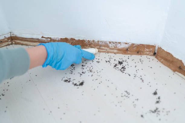 Best Wildlife Control Services  in San Joaquin, CA